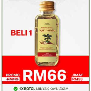 PROMO PAYDAY 1 BOTOL