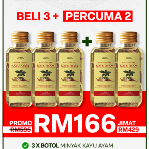 PROMO PAYDAY 3 BOTOL+FREE 2 BOTOL